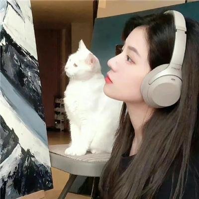 鼠洞里的好朋友